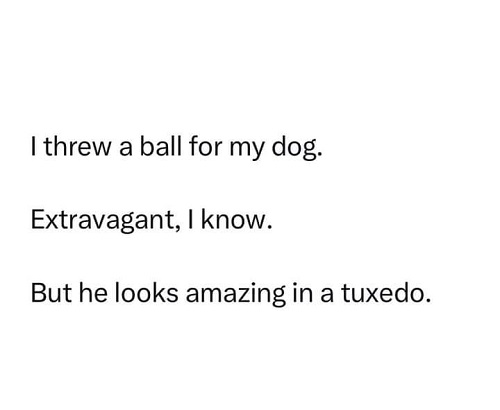 threw a ball for dog.jpg